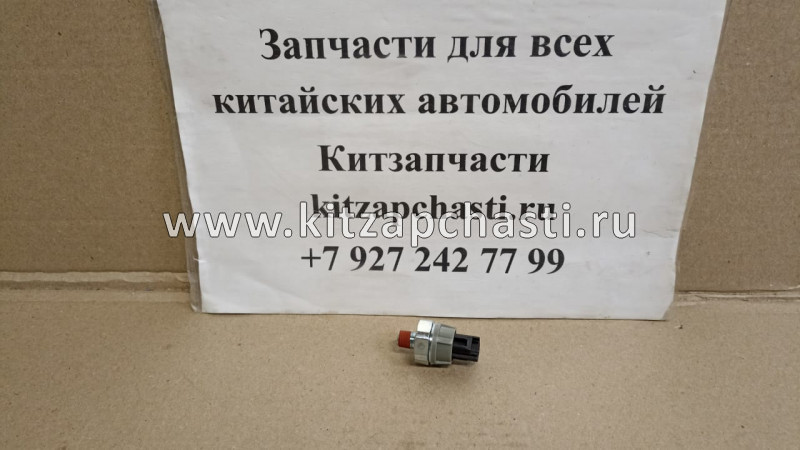 Датчик давления масла в двигателе Tank 300 1002800EG01