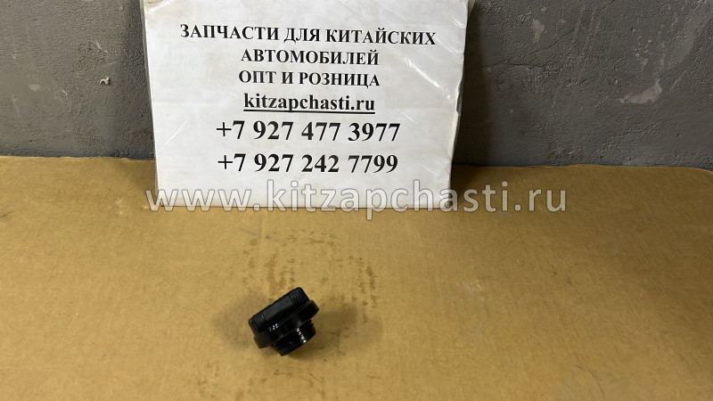 Крышка маслозаливной горловины Haval Jolion 1003520A-EG01T